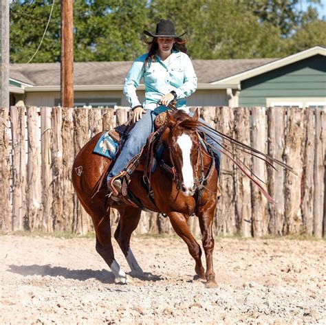 south dakota equine network.